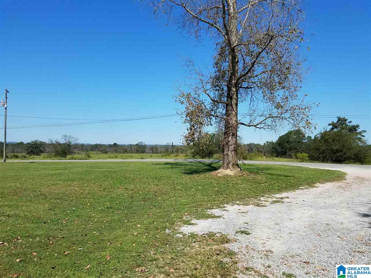 1042 Mt Carmel Road Altoona, AL 35952 - Photo 10 of 11