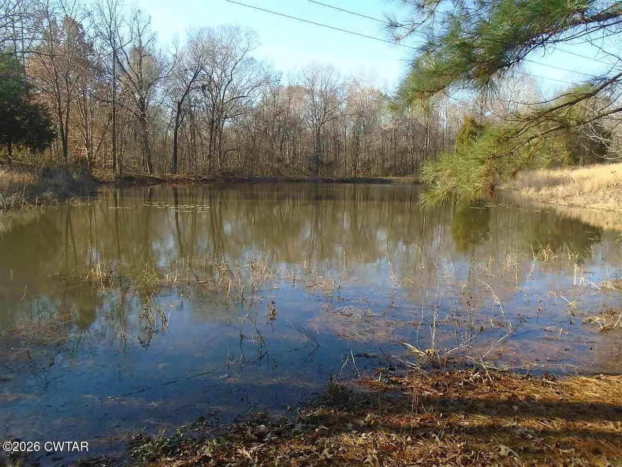 195 Ridge Road Medina, TN 38355 - Photo 4 of 14 a view of a lake view