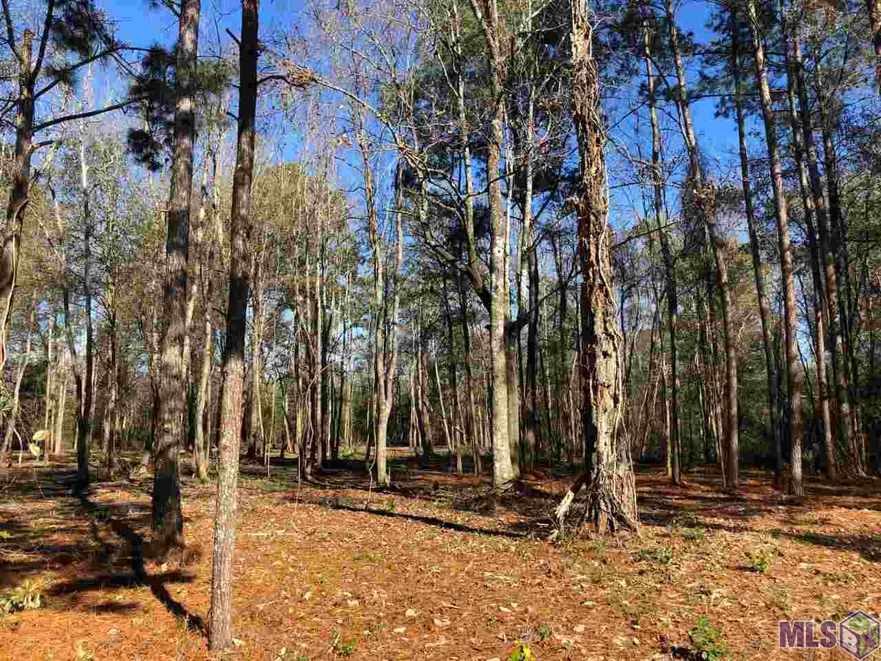 Lot 3 George Watts Road Livingston, LA 70754 - Photo 2 of 3 Gallery Image 2