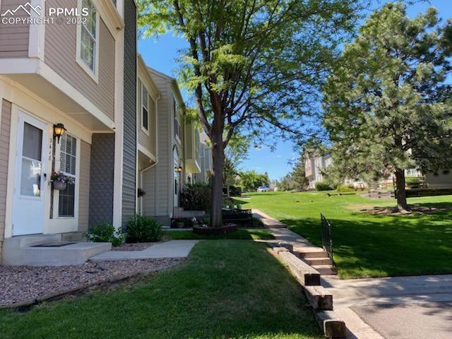 3618 Queen Anne Way Colorado Springs, CO 80917 - Photo 2 of 3 a view of a park with plants and large trees