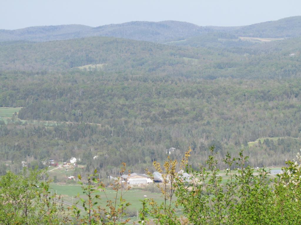 0 Denton Hill Road Craftsbury, VT 05826 - Photo 4 of 16 Gallery Image 4
