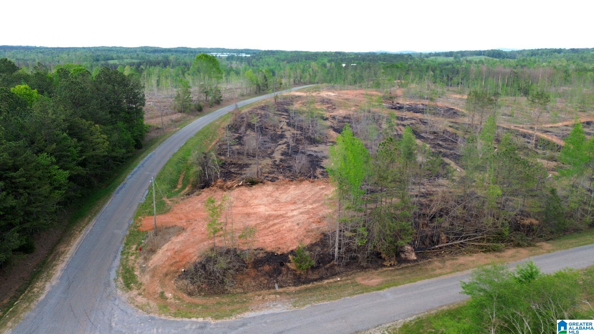 Center Hill Road, Unit 10 26 Delta, AL 36258 - Photo 1 of 4