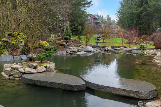 a view of a forest with a lake
