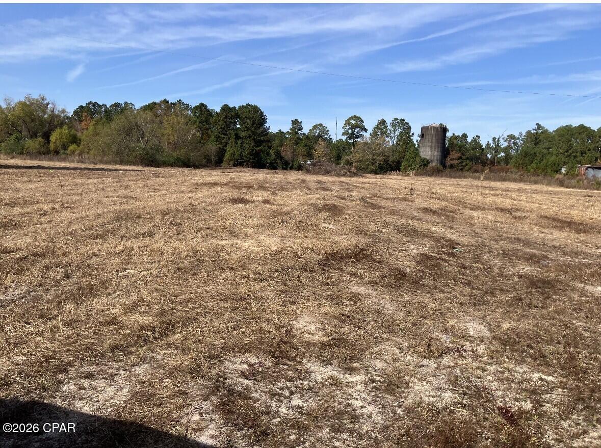 0 Fl-65 Hosford, FL 32334 - Photo 2 of 7