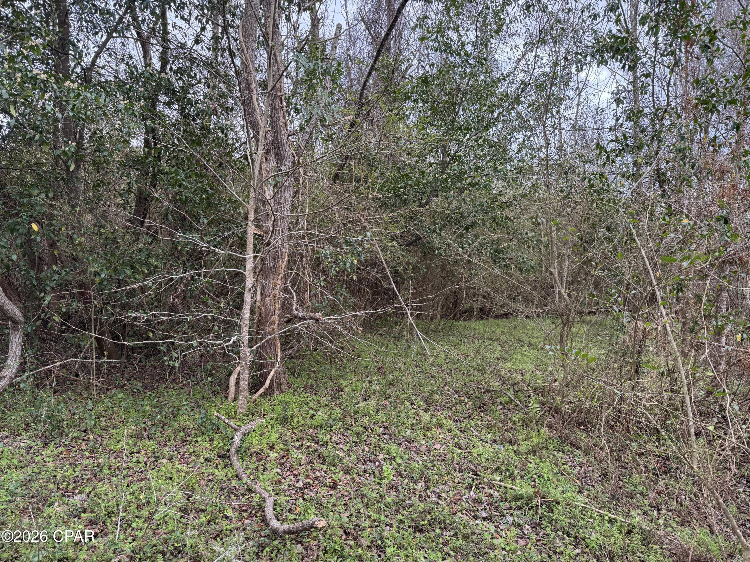 0 Fl-65 Hosford, FL 32334 - Photo 6 of 7