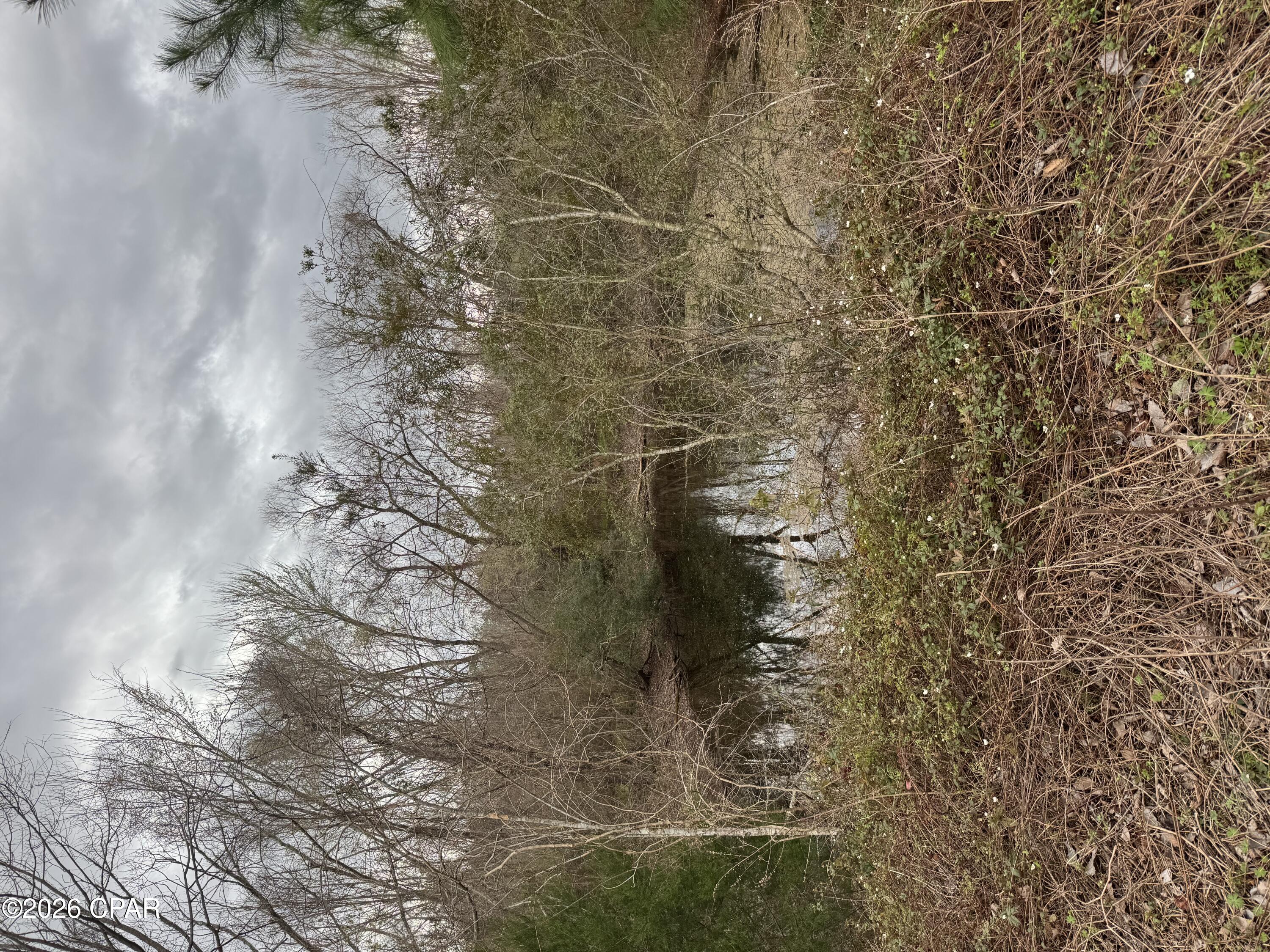 0 Fl-65 Hosford, FL 32334 - Photo 7 of 7