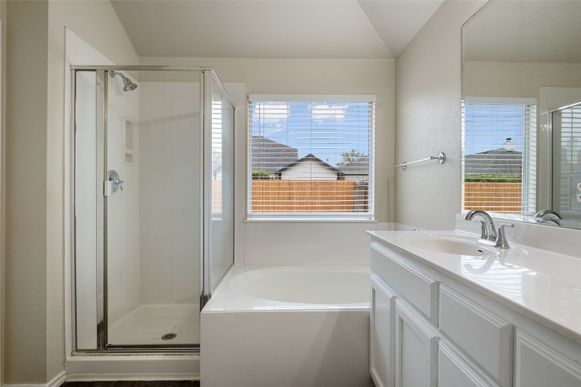 4009 Veiled Falls Drive Pflugerville, TX 78660 - Photo 19 of 26 a bathroom with a sink a mirror and a bathtub