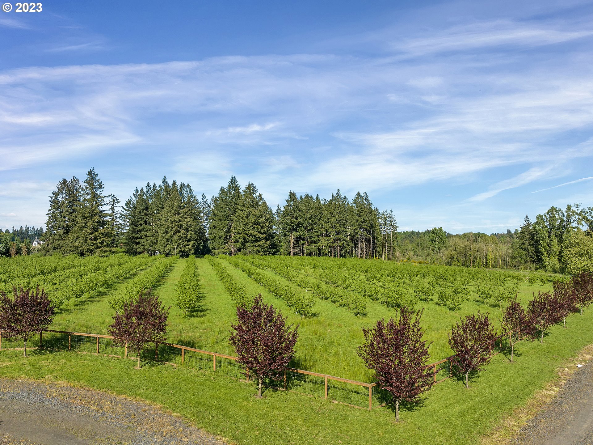 16939 Southwest Wilsonville Road Wilsonville, OR 97070 - Photo 42 of 43 a view of a lake with a yard