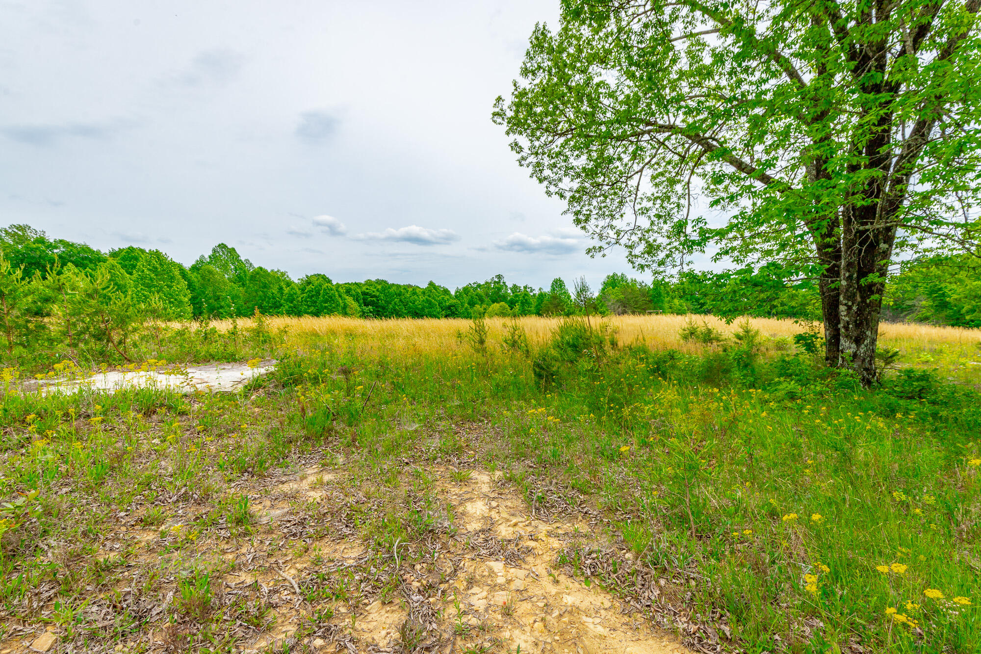 0 Ray Gadd Road Graysville, TN 37338 - Photo 69 of 109 Ray Gadd Road Lot HD-14