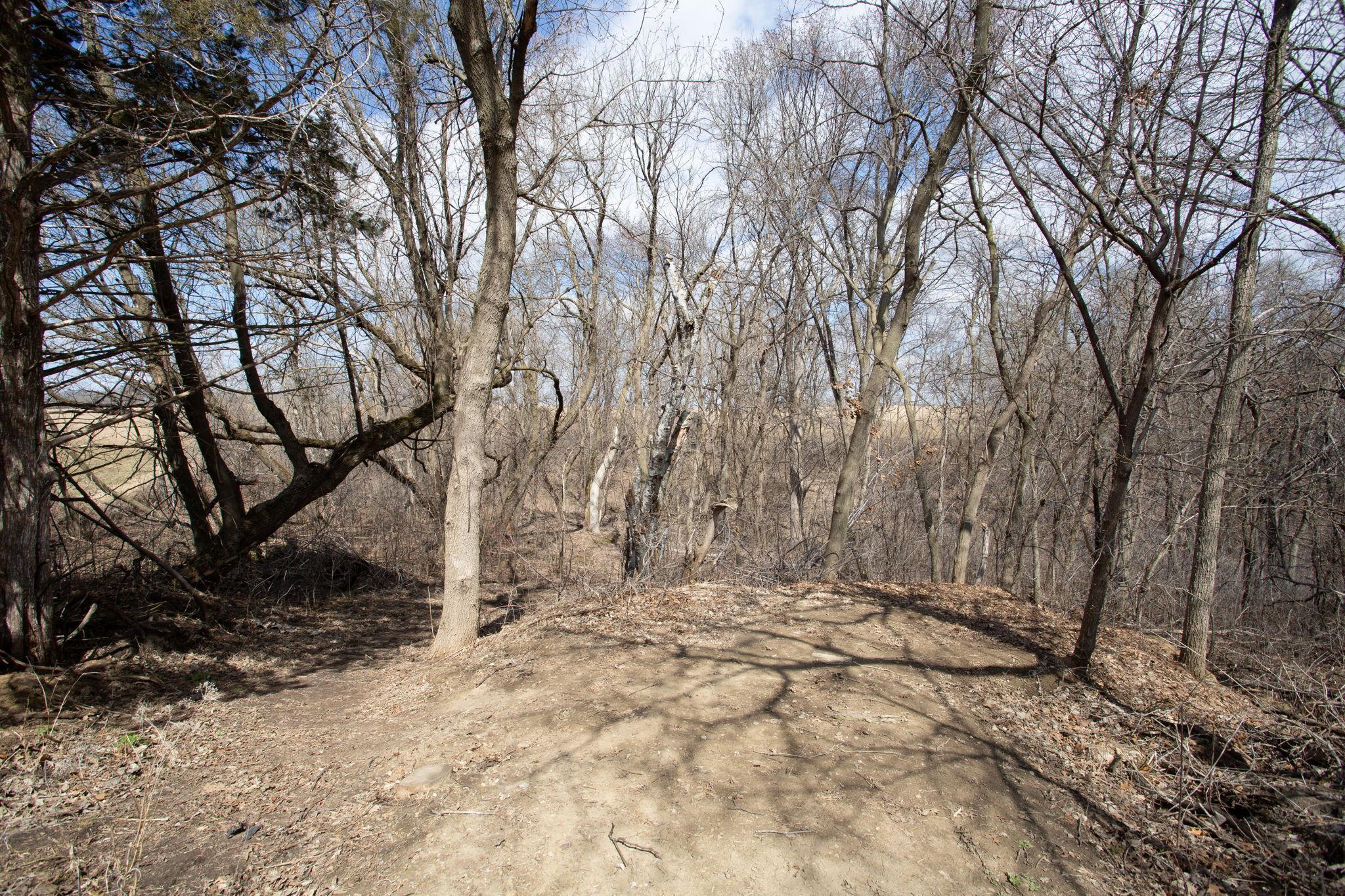 17531 County 41 Boulevard Red Wing, MN 55066 - Photo 78 of 116