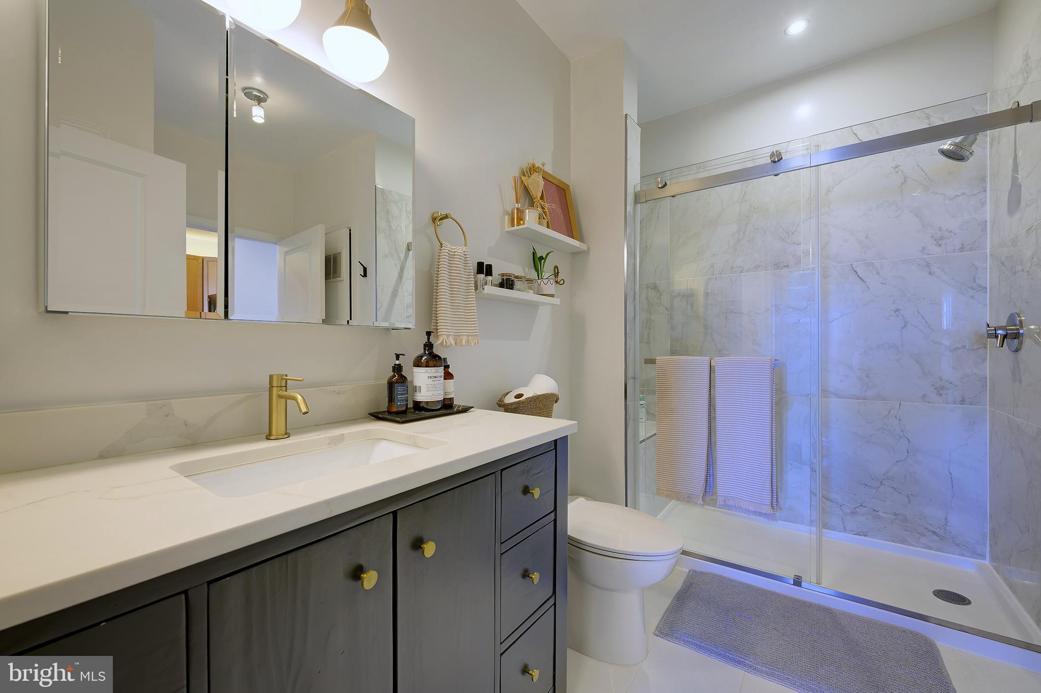 8045 Newell Street, Unit 514 Silver Spring, MD 20910 - Photo 16 of 19 Renovated spa like bathroom