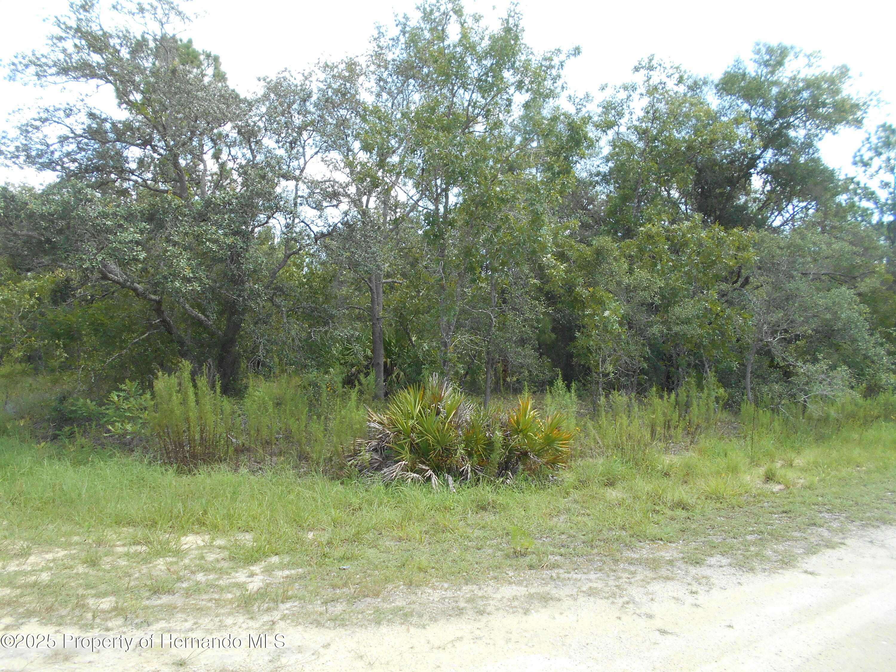 Lot 9 Gold Crest Road Weeki Wachee, FL 34614 - Photo 1 of 1