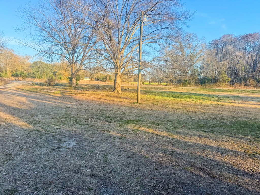 4452 Gene Terry Road Cottonwood, AL 36320 - Photo 11 of 12