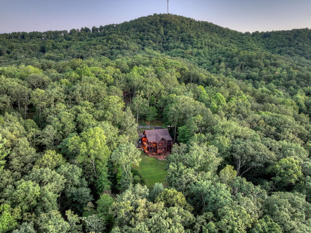 169 Walnut Mountain Road Ellijay, GA 30536 - Photo 62 of 77 Gallery Image 62