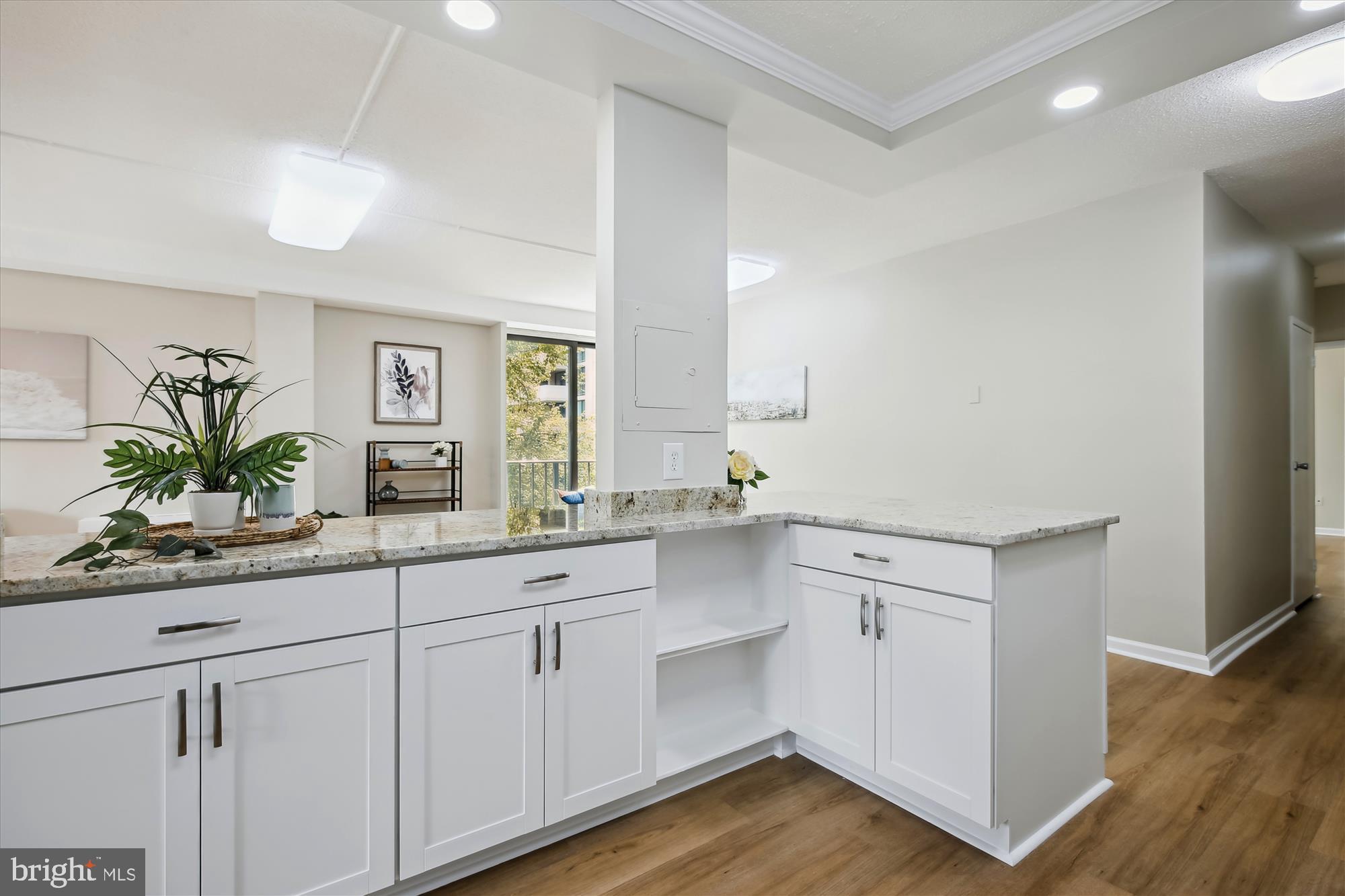 4141 North Henderson Road, Unit 224 Arlington, VA 22203 - Photo 4 of 31