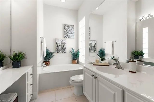a bathroom with a potted plant on the counter and mirror