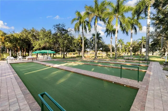 a view of a swimming pool with a lawn chairs and palm trees