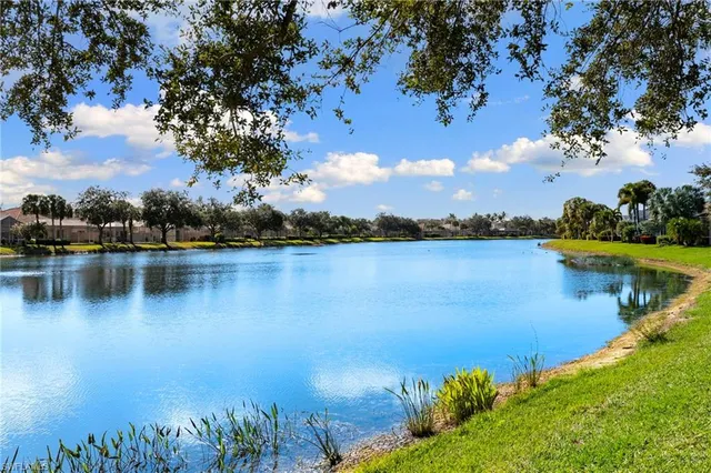 a view of a lake with houses in the back