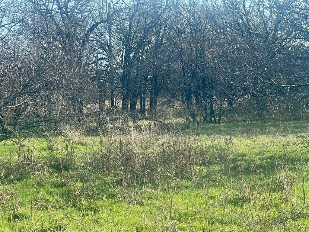a view of a lake with a yard