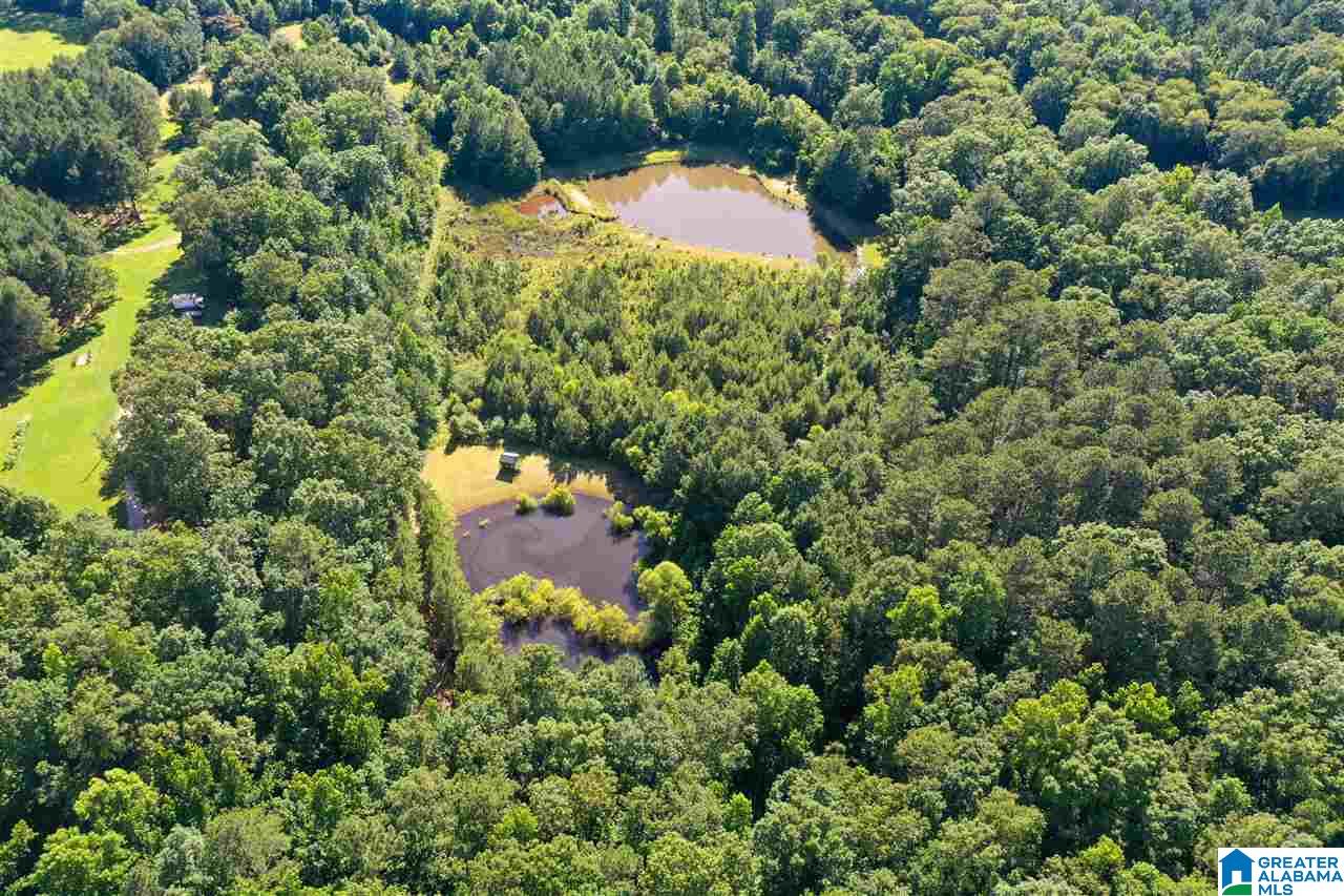 4599 Newbold Road Bessemer, AL 35022 - Photo 46 of 50
