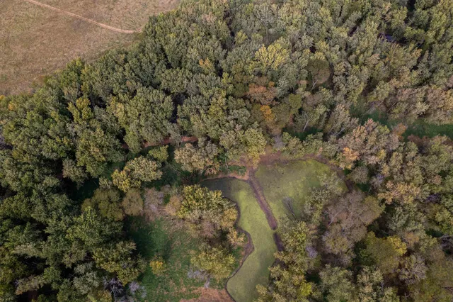 a view of a forest with lots of trees