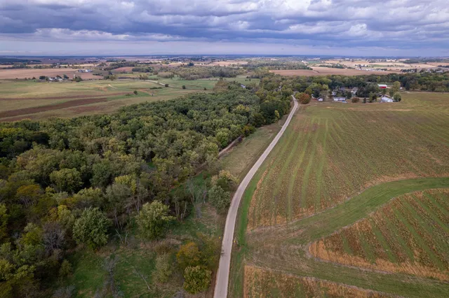 a view of a yard with an trees