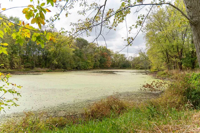 a view of outdoor space with trees
