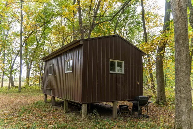 a view of yard covered with trees