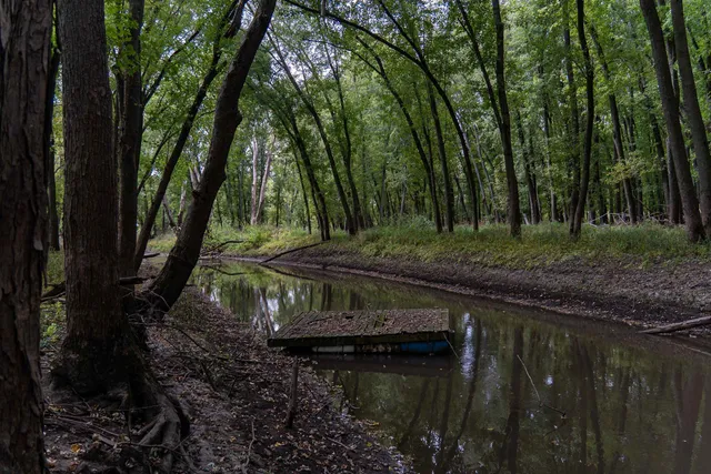 a big yard with lots of green space and deers