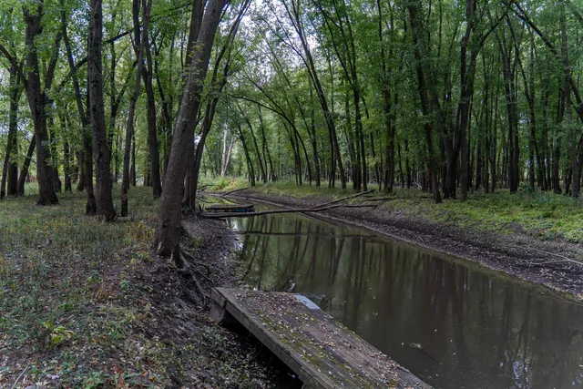 an aerial view of a golf course