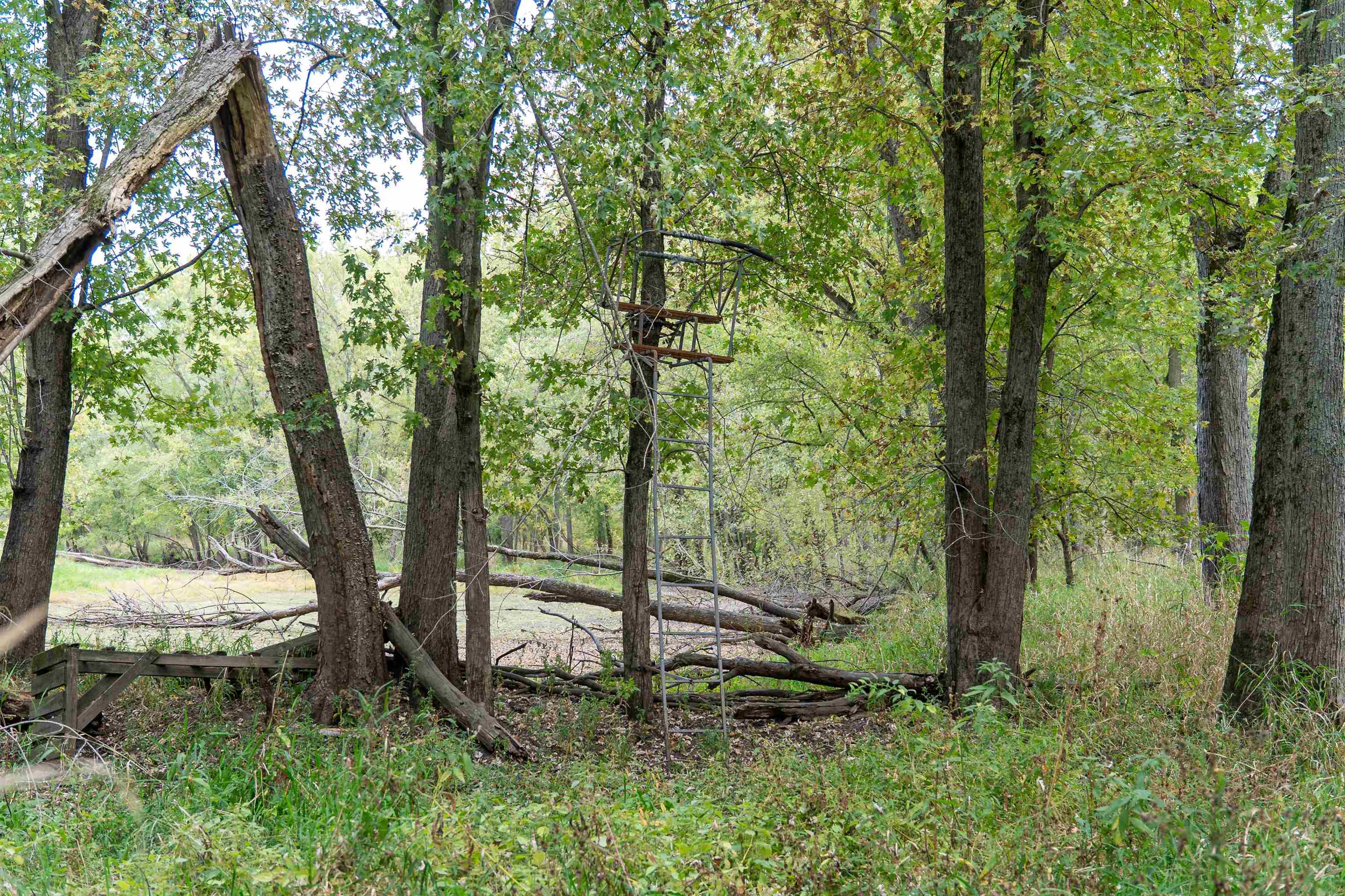 3537-3577 North Iris Hill Road Freeport, IL 61032 - Photo 48 of 60 a view of outdoor space and green space