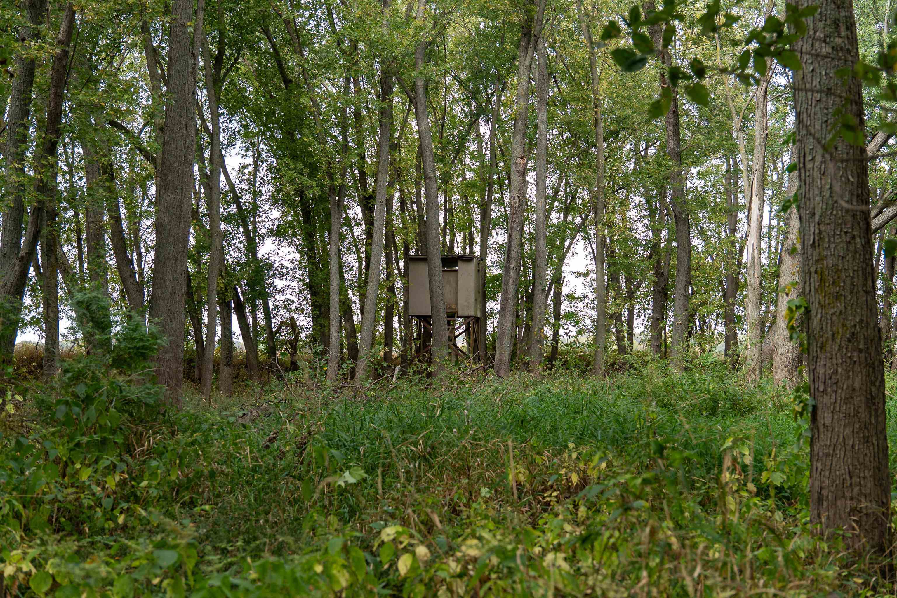 3537-3577 North Iris Hill Road Freeport, IL 61032 - Photo 52 of 60 a big yard with lots of green space and deers