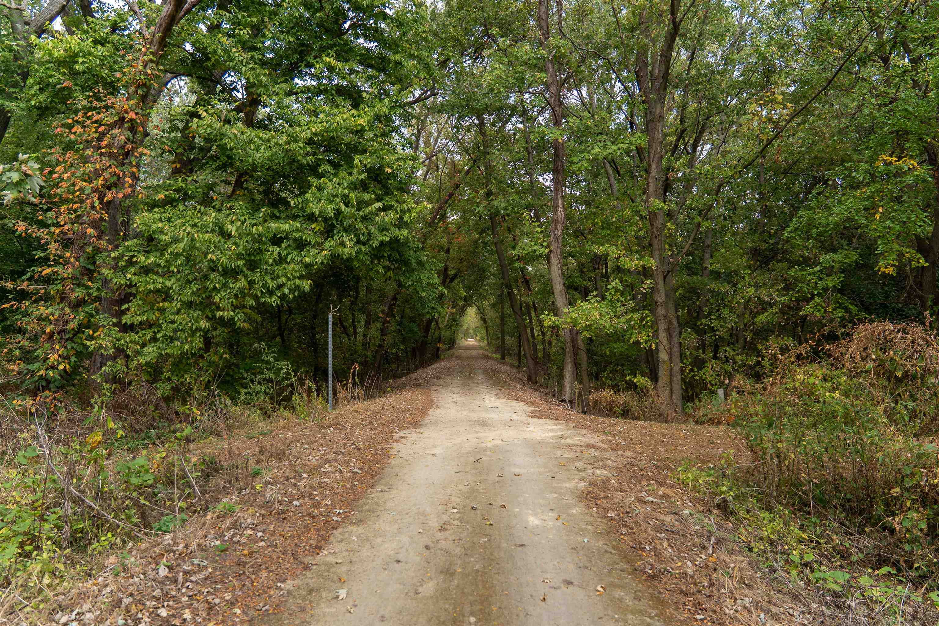 3537-3577 North Iris Hill Road Freeport, IL 61032 - Photo 55 of 60 a view of a forest with trees in the background