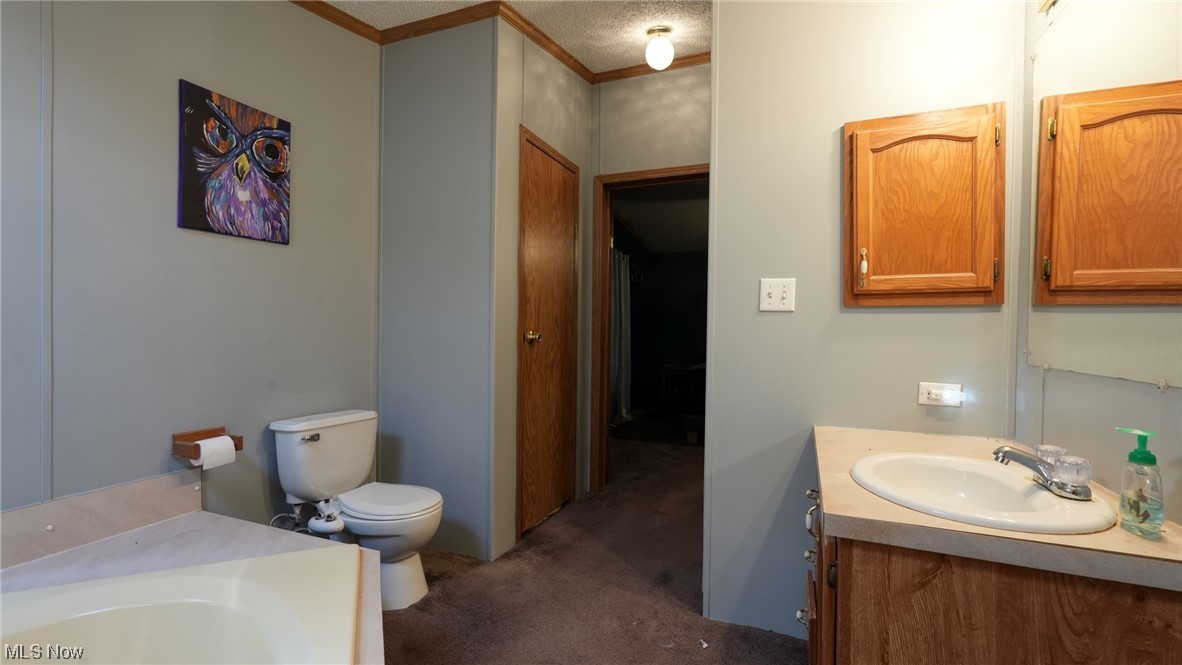 53447 Mud Run Road Senecaville, OH 43780 - Photo 18 of 31 Bathroom with a textured ceiling, toilet, vanity, and ornamental molding