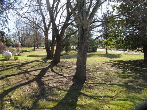 236 Duke Road Maryville, TN 37803 - Photo 31 of 32 Additional Photo