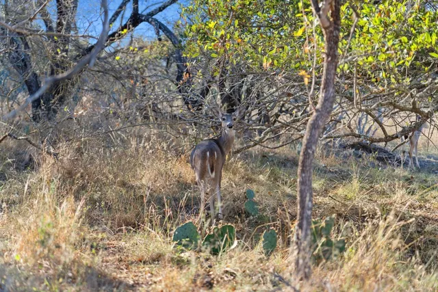 $449,000 | 432 Sandy Mountain Drive, Sunrise Beach, TX 78643