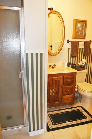 6388 Leland Road Waterman, IL 60556 - Photo 21 of 23 a bathroom with a sink a mirror and a shower