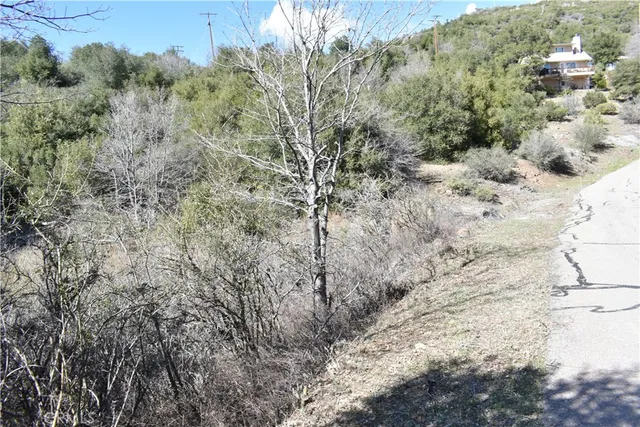 a view of a forest with a yard