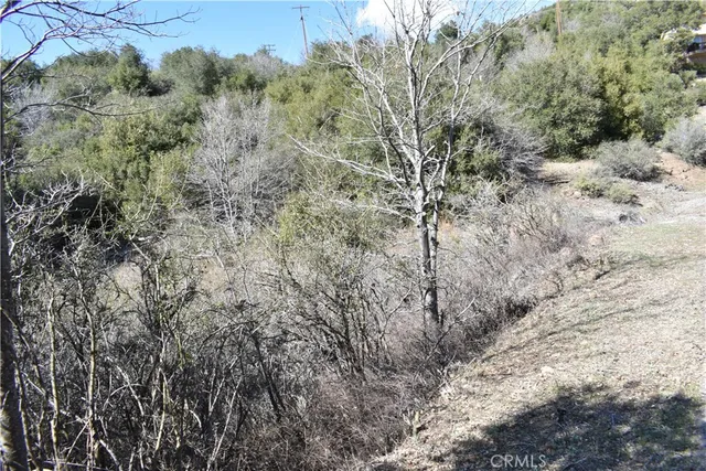a view of a yard with a tree