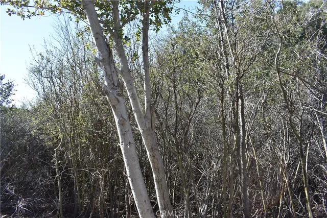 a view of a backyard of the house