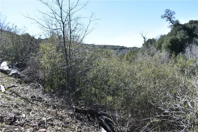 a view of a large yard with lots of bushes