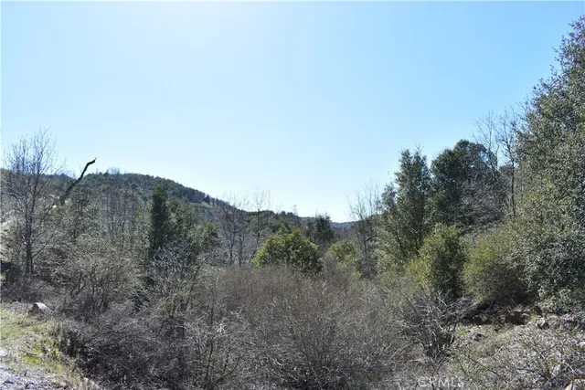 a view of a dry field