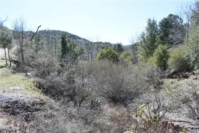 a view of a dry yard