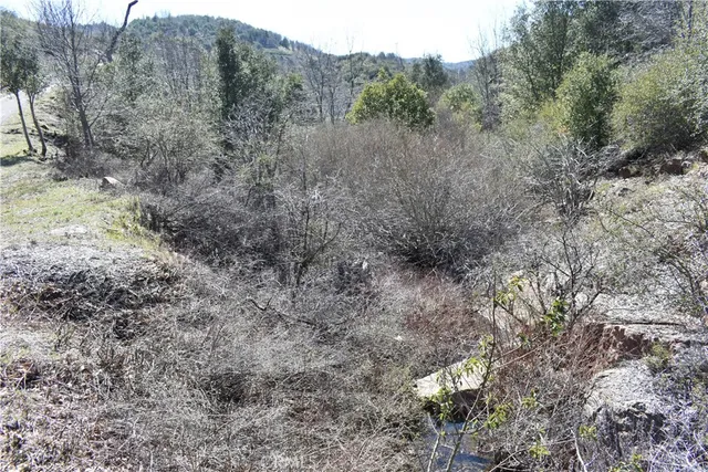 a view of a dry yard with trees
