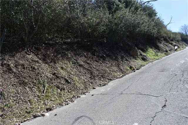 a view of bushes and pathway