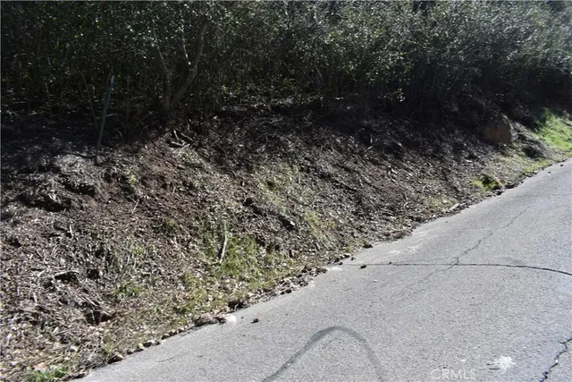 a view of path and tree