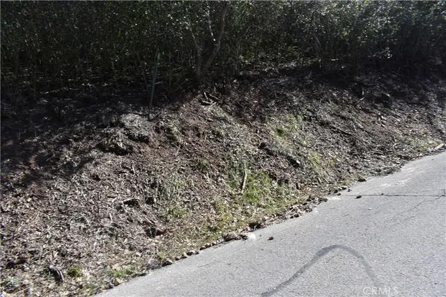 a view of a yard with a plants