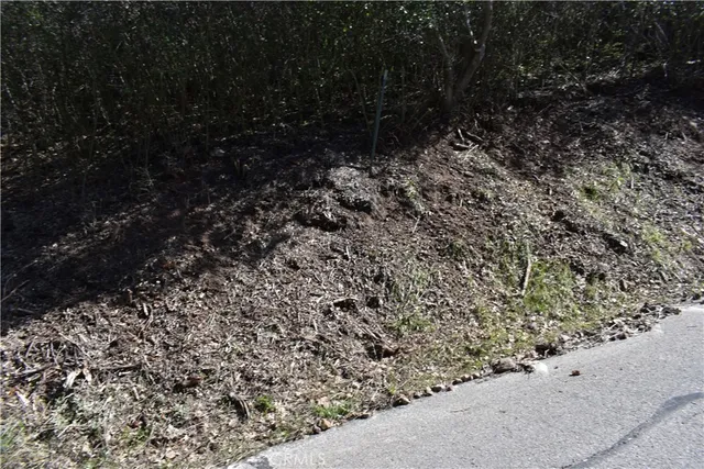 a view of outdoor space and a yard