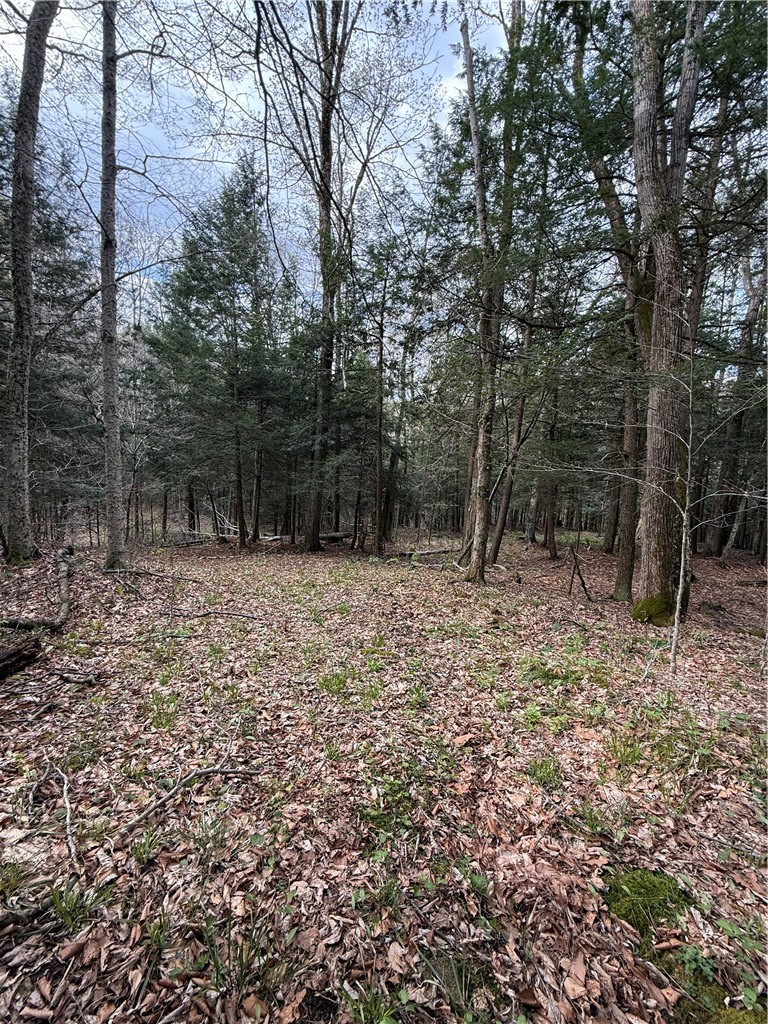 Gulf Road West Winfield, NY 13491 - Photo 3 of 10