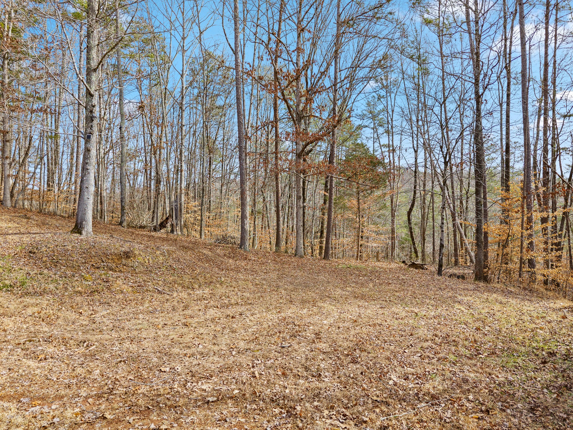 438 County Road 188 Decatur, TN 37322 - Photo 23 of 28